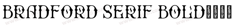 Bradford Serif Bold字体转换